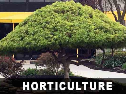 Horticulture