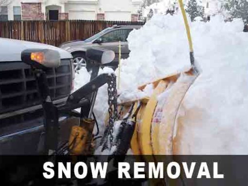 Snow Removal