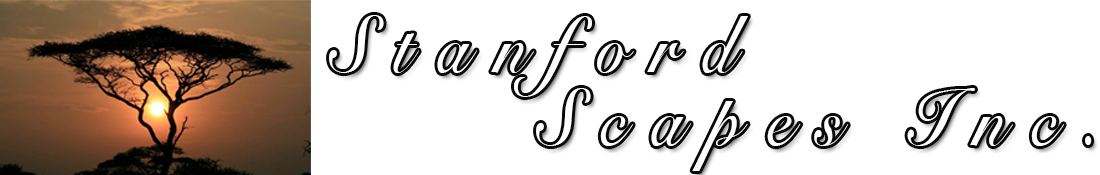 Stanford Scapes Inc.